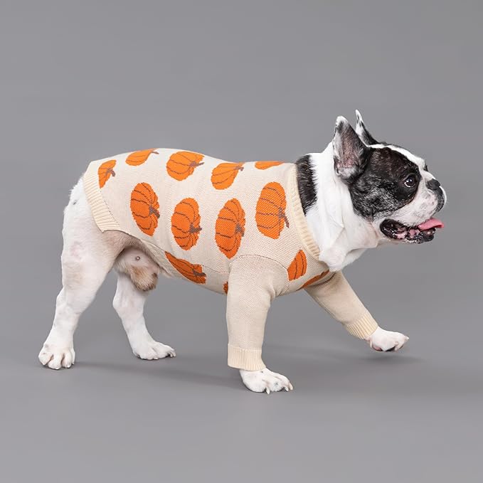 Fitwarm Pumpkin Dog Sweater, Thanksgiving Outfit for Small Dogs Boy Girl, Pet Outfit, Orange, Beige, XS