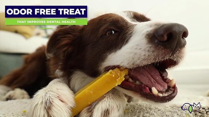 Himalayan Yak Chews, Natural Dog Treats, Limited Ingredients, 68 grams of protein, raw-hide alternative, large dog chews for aggressive chewers (Cheese)