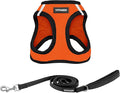 Best Pet Supplies Voyager Step-in Air All Weather Mesh Harness and Reflective Dog 5ft Leash Combo with Neoprene Handle, for Small, Medium and Large Breed Puppies - Set (Orange/Black Trim), Large