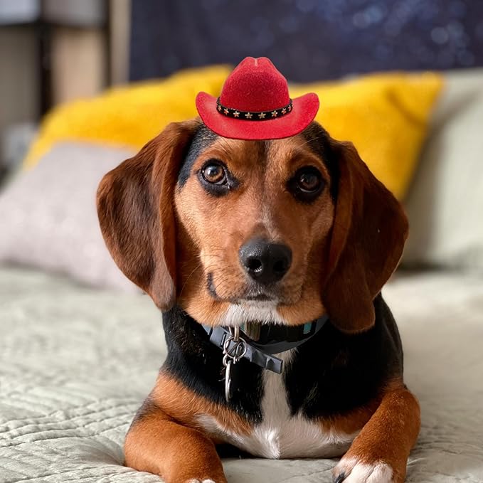 Dog Cowboy Hat Cat Cowboy Hat Mini Cowboy Hat for Dogs Cat Pet Cowboy Costume with Bandana Scarf Holiday Halloween Pet Party Decoration (red, Small)