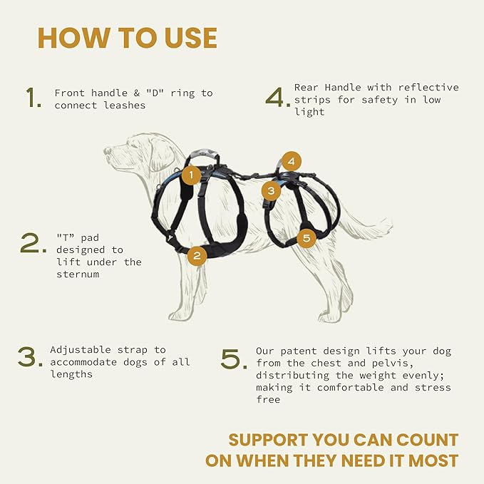Help 'Em Up® - Dog Lift Harness│ Adjustable Lifting Harness for Dogs │ Full Body Support, Rear Leg Support (U-Band, Small)