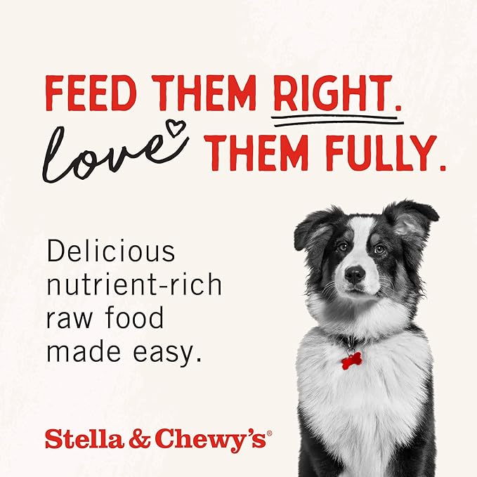 Stella & Chewy's Freeze-Dried Raw Beef Liver Dog Treats - Single Ingredient, No Additives - Premium Training Treats - Perfect For Picky Eaters - 3oz Bag
