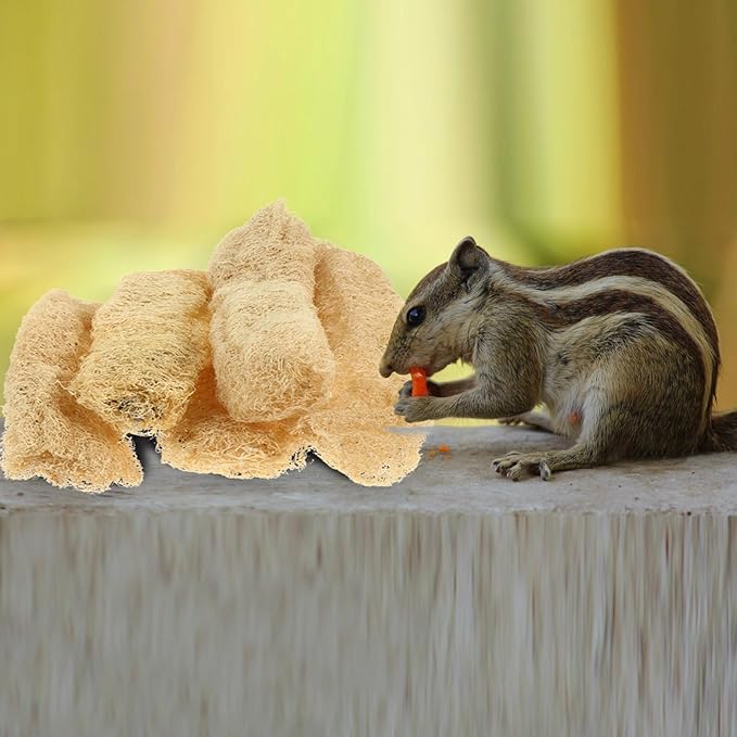 TEHAUX Natural Loofah Chewing Toys 5-Pack for Small Animals Tooth Cleaning and Fur Scrubbing Bath Tools for Guinea Pigs Hamsters Rabbits Safe Teeth Grinding