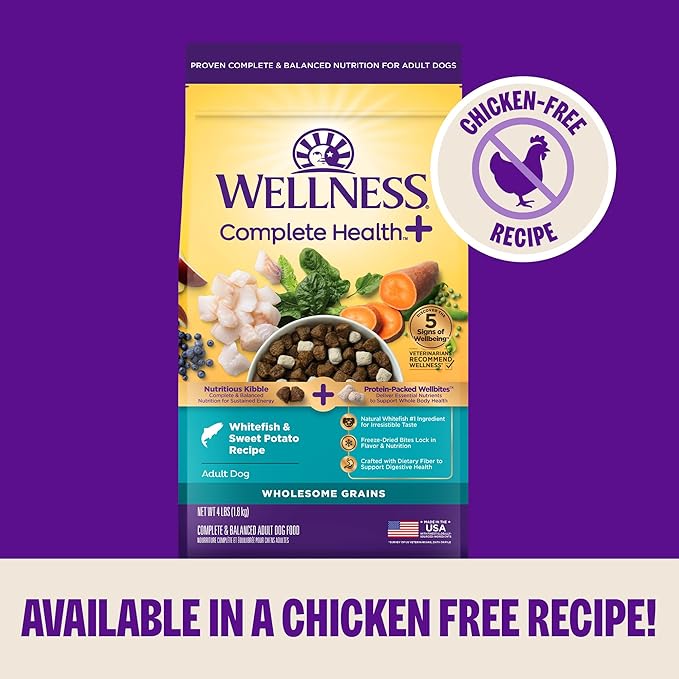 Wellness Complete Health+ Dry Dog Food, Adult Small Breed Turkey & Oatmeal Recipe with Freeze-Dried Wellbites (3.75 Pound Bag)