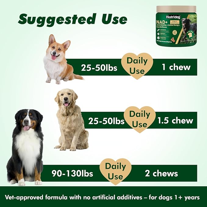 NMN Supplement for Dogs NAD+ Booster - Anti-Aging & Longevity Soft Chews for Senior Dogs with Resveratrol, CoQ10, Glucosamine & Omega-3-3-in-1 Cellular Energy, Joint & Skin Support