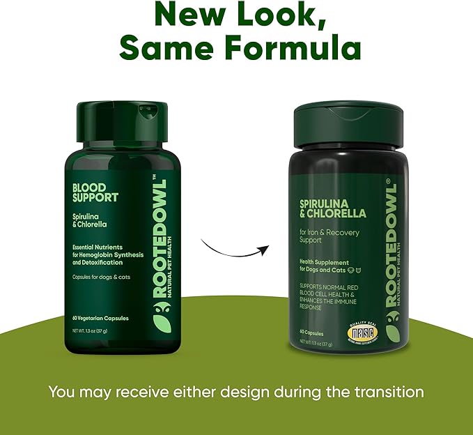 Rooted Owl Blood Support - Immunity, Recovery and Iron Supplement for Dogs & Cats - Anemia Support with Spirulina and Chlorella - 60/ct Vegan Capsules