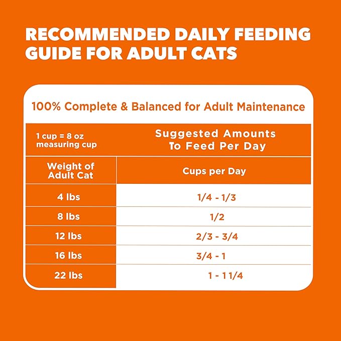 IAMS Proactive Health Dry Cat Food, Healthy Cat Food Dry Recipe for Adults, with Real Salmon, 22 lb. Bag