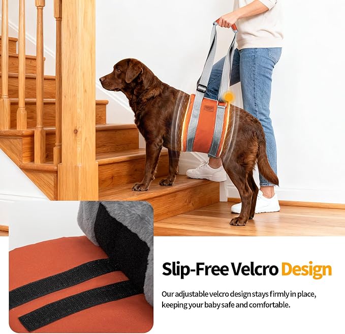 Dog Sling for Back Legs Dog Lift Harness Magic Tape Hip Support Harness Rehab to Help Senior,Injured,Arthritis,Hip Dysplasia,Weak Rear Leg,Disabled,After ACL/CCL Surgery,TPLO Dogs (Brown, L)