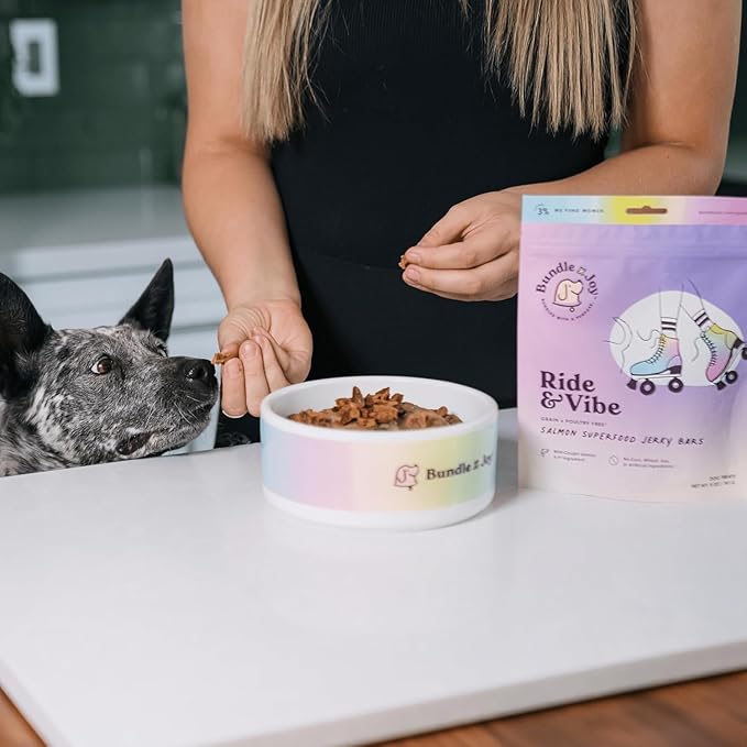 Bundle x Joy Ride & Vibe Salmon Jerky for Dogs - 5 Oz (6-Pack), Natural Superfood - Corn, Poultry, Soy & Grain Free Salmon Dog Treats Made in USA Only