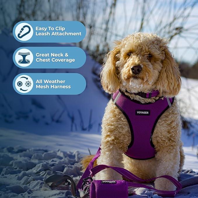 Voyager Step-in Air All Weather Mesh Harness and Reflective Dog 5 ft Leash Combo with Neoprene Handle, for Small, Medium and Large Breed Puppies by Best Pet Supplies - Purple, XX-Small