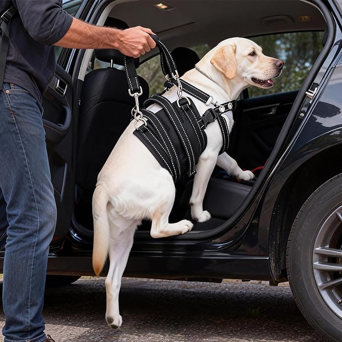 CWV Female Dog Sling for Back Legs, Dog Lift Harness, Magic Tape Dog Sling for Large Dogs Hind Leg Support, Medium, White ＆ Black