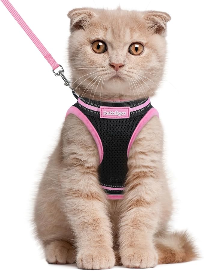 rabbitgoo Cat Harness and Leash Set for Walking Escape Proof, Adjustable Soft Kittens Vest with Reflective Strip for Cats, Comfortable Outdoor Vest, Black & Pink, L