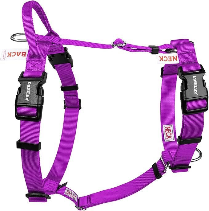 Non-Restrictive No-Pull Dog Harness, Neck Buckle Desgin, Six Points Adjustment, Sewn-in Instructions Labels, for Medium Dog Chest(21-30 inches), Purple