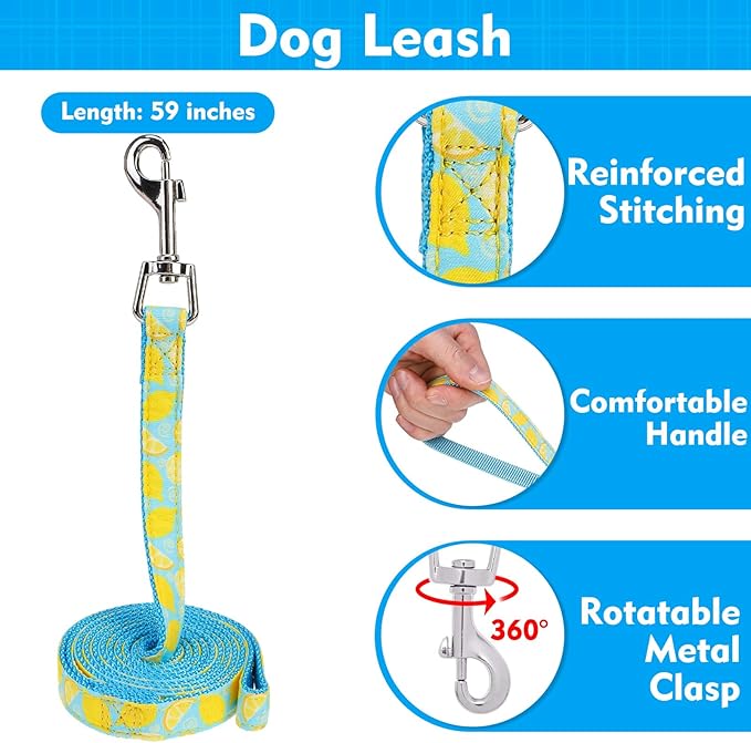 EXPAWLORER Cute Dog Harness Collar Leash Set - Blue Girl Dog Harness Checkered Step-in Design, Adjustable No-Choke Lightweight Mesh Vest for Cats Puppy Small Dogs, Lemon M