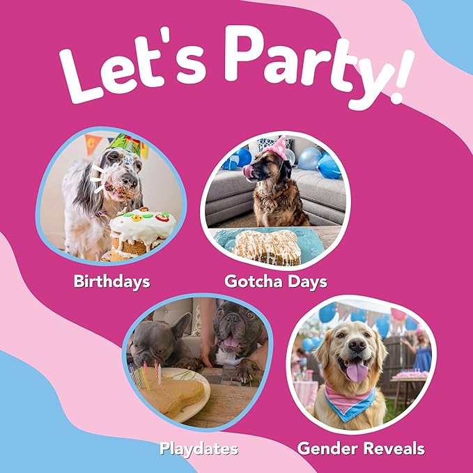 Dog Birthday Cake & Ice Cream Kit – Fluffy, Moist Cake with Pupfetti Sprinkles, Vanilla Flavor Ice Cream, Pink Bone Pan & 24 Candles. All-Natural, Made in USA
