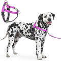 Freedom No Pull Dog Harness for Large Dogs, Easy Walker, Anti Pull with Two Stainless D-Rings, Comfortable, Sewn-in Instructions Tags for Easy Use (Purple, XL)
