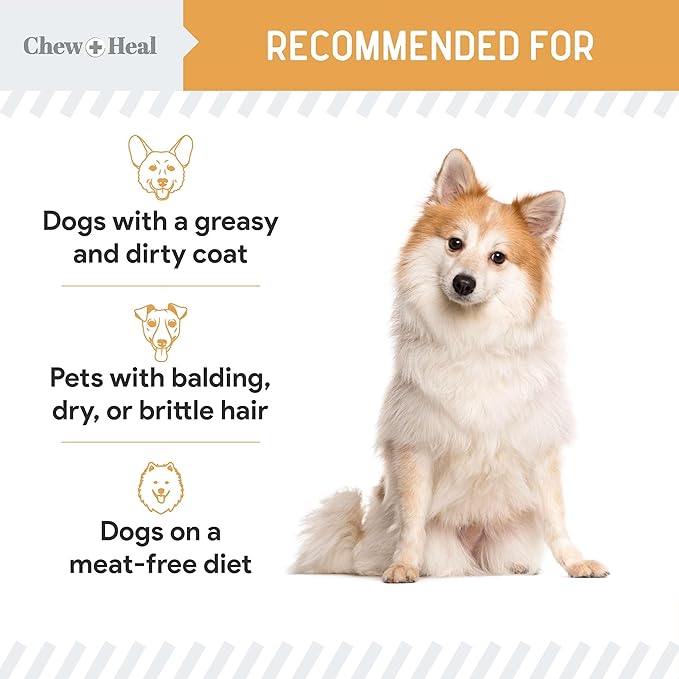 Chew + Heal Labs Omega Salmon Jerky - Soft & Healthy Dog Treats for Skin & Coat Health - 5 oz Wild-Caught Alaskan Salmon Treats & Jerky for Dogs - Made in USA