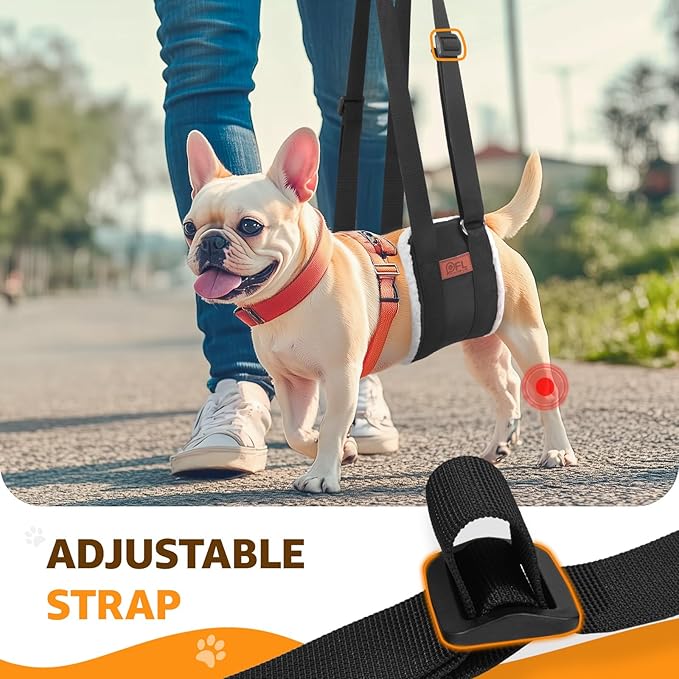 Adjustable Dog Lift Harness, Dog Sling for Small Dogs Lift Support and Rehab Harness for Weak Rear Legs, Soft Hind Leg Support Helps Senior, Injured, Disabled and After ACL Surgery Dogs(Black,Small)