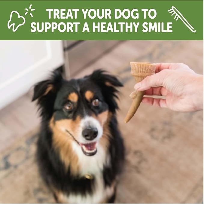 WHIMZEES Wellness Occupy Dog Dental Treats, Large Size, (6 Count)