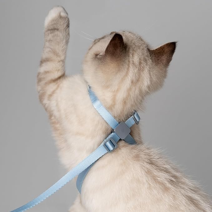 Cat Harness Escape-Proof Anti-Choking Adjustable Nylon Harness Lightweight with Anodized Aluminum Buckle, Ideal for Cats Outdoor Walking and Training, IDA Award (Vivid Red, M (17.7"))