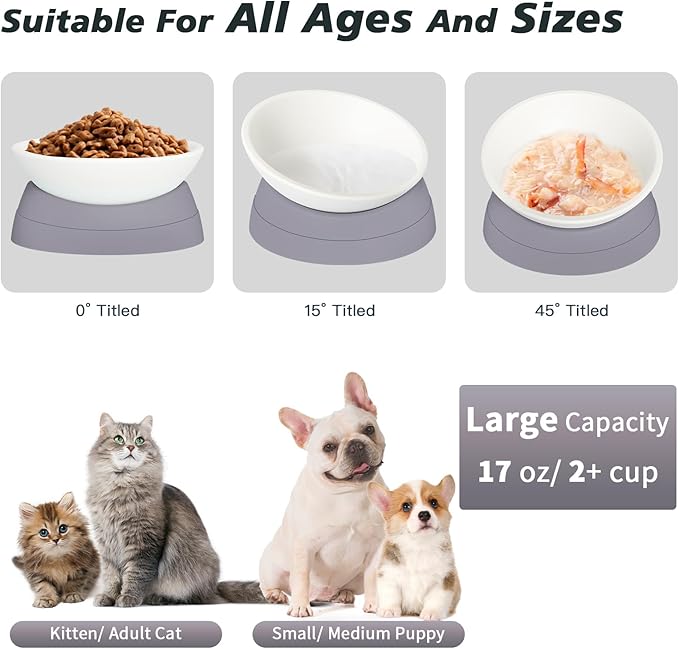Ravitat Elevated Cat Food Bowl - Adjustable, Anti-Slip & Anti-Noise, Protects Pet's Spine, Thickened Plastic, 17 Oz