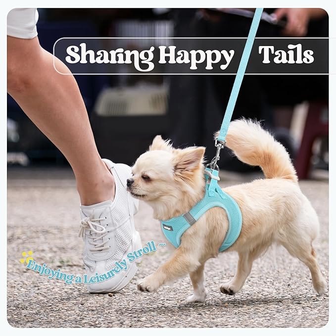 rabbitgoo Dog Harness Small Sized and Leash Set, Step in Soft Light Puppy Vest, Breathable Mesh Pet Harness, Reflective for Safe Easy Walking, Mint Blue XS