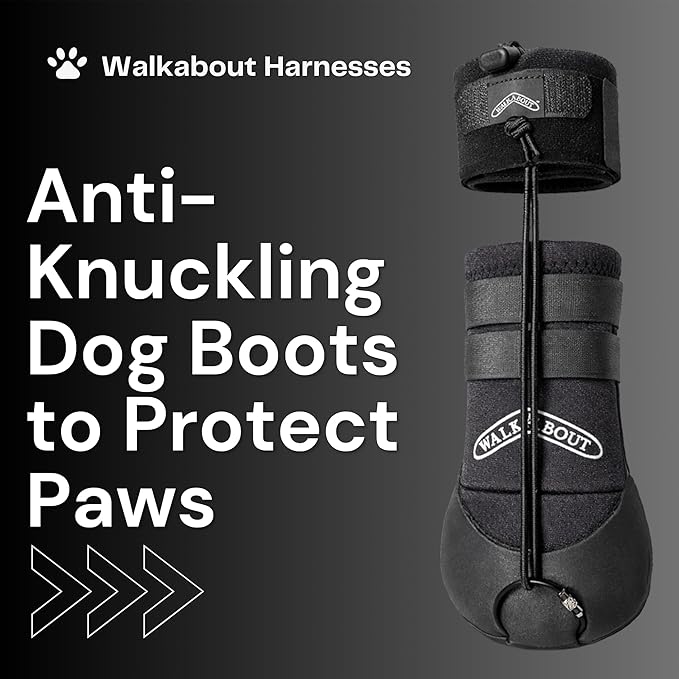 WALKABOUT™ Toe'sUP No Knuckling Boot Brace for Dogs Dragging Paws | Corrective Dog Shoes to Safely Lift Toes