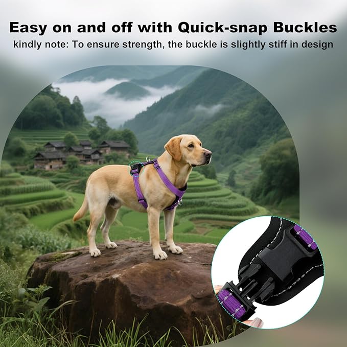 Plutus Pet Adjustable No Pull Dog Harness with Leather Accents, Heavy Duty Reflective Nylon Vest for Training, Hiking, Easy Walk Harness for Small, Medium, Large Dogs (Purple, M)