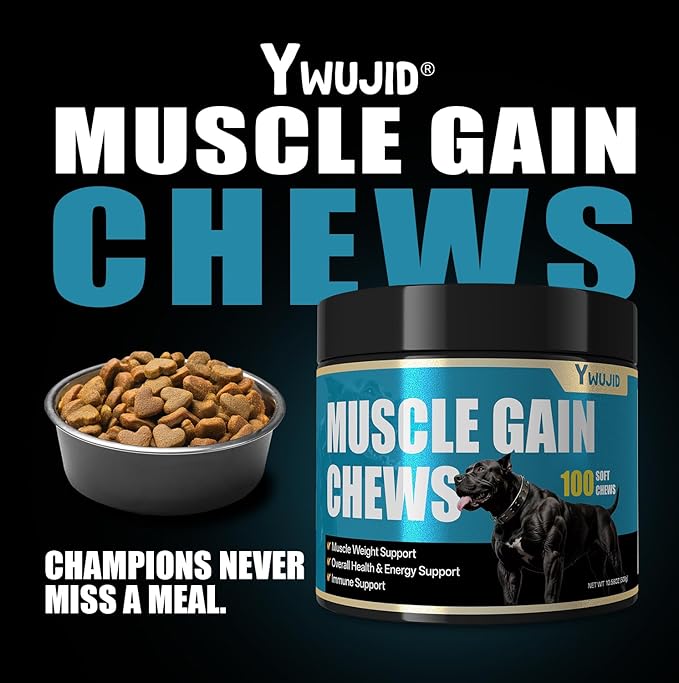 Dog Muscle Gain Power Chews-Canine Weight Gainer Formula,High Protein,Multivitamins,Overall Health & Energy,Immune Support,Premium Natural Muscle Building Supplement for Puppies & Adult Dogs