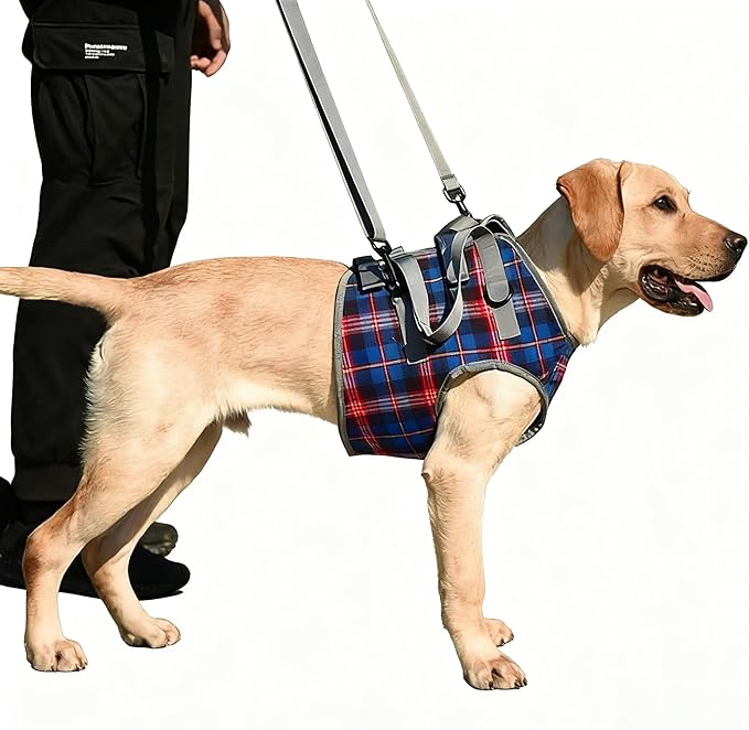 Dog Lift Harness with Handle – Adjustable Pet Support Sling for Rear Legs & HIPS, Padded Detachable Handle, Senior Dog Mobility Aid & Post-Surgery Walking Help(Front Legs Blue,XL)