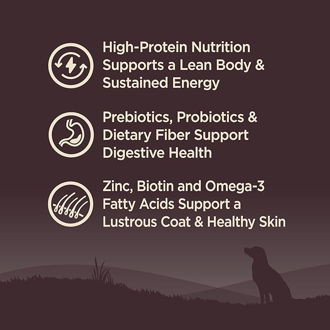 Wellness CORE Dry Dog Food, Wholesome Grains, High Protein, Natural, Original Turkey & Chicken Recipe, (24-Pound Bag)