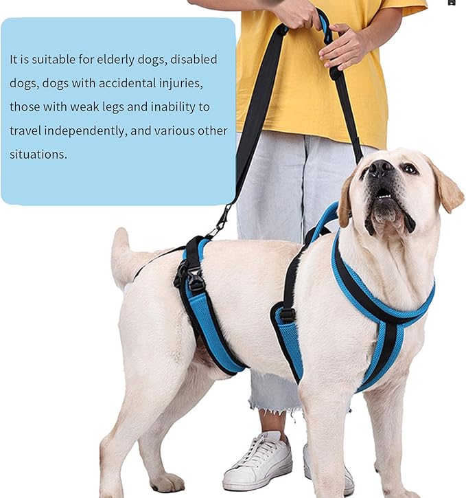Quick Install Dog Belt for Senior Canines Comfortable Padded Polyester Mobility Rehabilitation Harness Elderly Pet Mobility Aid