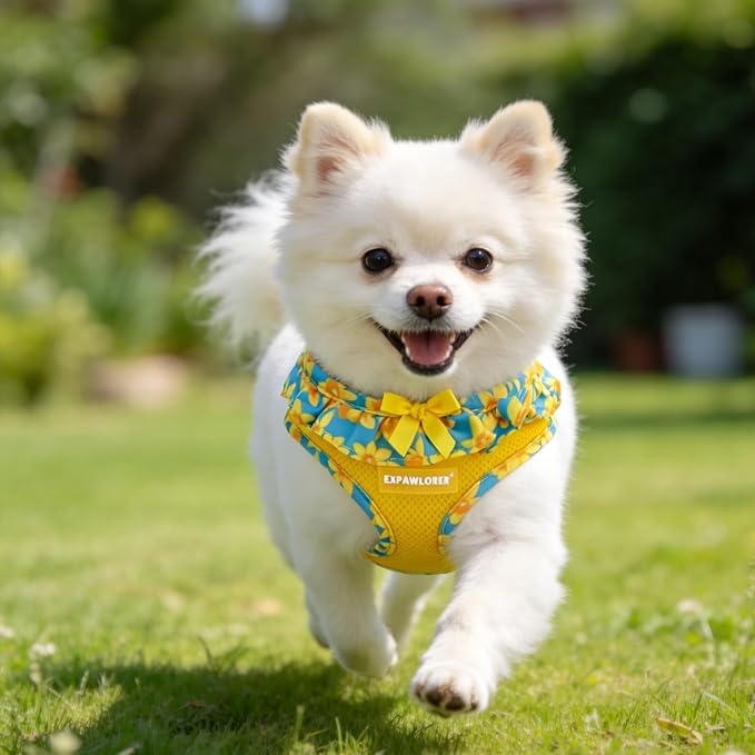 EXPAWLORER Cute Dog Harness Collar Leash Set - Blue Girl Dog Harness Checkered Step-in Design, Adjustable No-Choke Lightweight Mesh Vest for Cats Puppy Small Dogs, Daffodil S