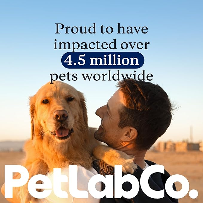 PetLab Co. Salmon Bites for Dogs – Rich in Beneficial Fatty Acids, Vitamins & Minerals - Premium Salmon Dog Treats Your Pup Will Drool Over - Carefully Selected Ingredients – Delicious Reward