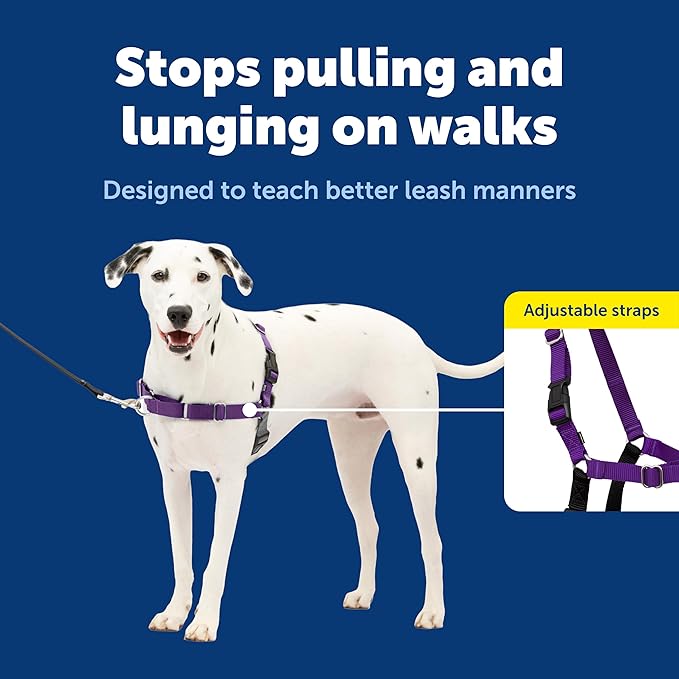 PetSafe Easy Walk Comfort No-Pull Dog Harness Full-Body Padding - Better Walks on the First Use - 5 Points of Adjustment Medium/Large, Blue