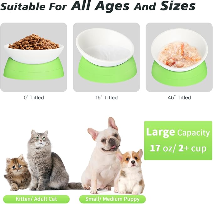 Ravitat Elevated Cat Food Bowl - Adjustable, Anti-Slip & Anti-Noise, Protects Pet's Spine, Thickened Plastic, 17 Oz