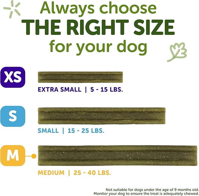 WHIMZEES Wellness Freshzees Dog Dental Treats, Medium Size Stick, (14 Count)