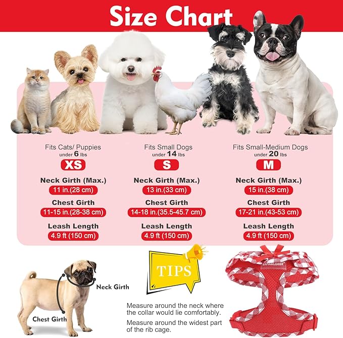 EXPAWLORER Cute Dog Harness and Leash Set - Red Girl Dog Harness Checkered Step-in Design, Easy Adjustable No-Choke Lightweight Breathable Vest for Puppy Small Dogs Cats Outdoor Walking, X-Small