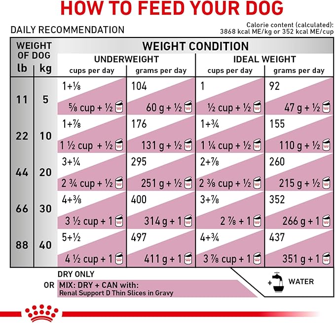Royal Canin Veterinary Diet Canine Renal Support A Adult Dry Dog Food, 17.6 lb Bag