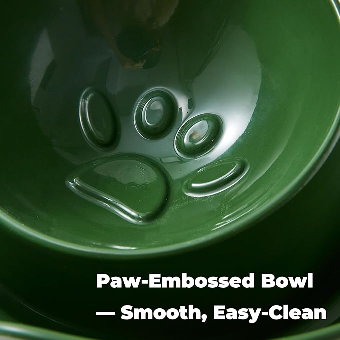2-Pack Cat Food Ant Barrier Bowls — Ant Proof Cat Food Bowls Tray with Water Moat Design, 10 in Diameter, One-Piece Integrated Bowl, Easy-Clean, Non-Slip Base, Dark Green & Dark Gray