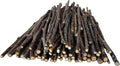 60 Apple Skinny CHEW Twigs for Small Animals