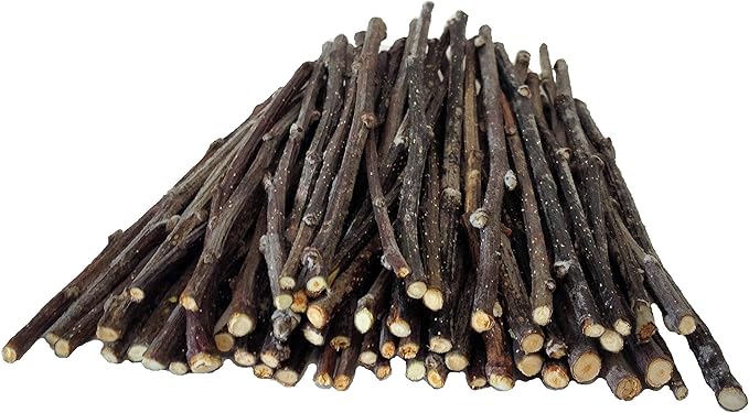 60 Apple Skinny CHEW Twigs for Small Animals