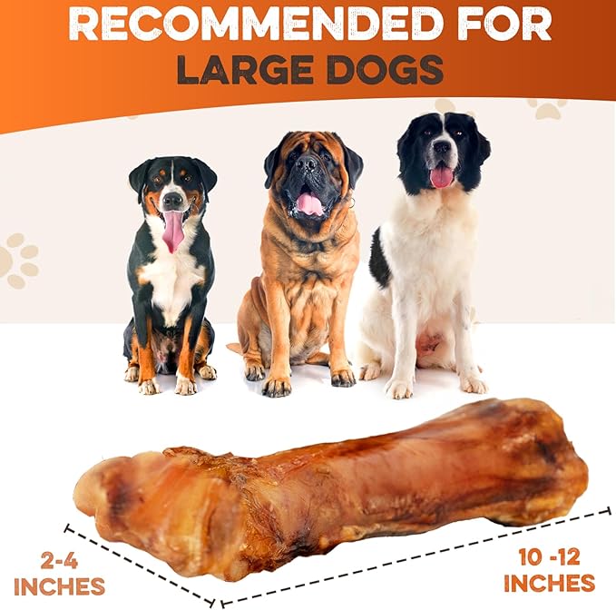 BRUTUS & BARNABY Shin Bones for Dogs – 100% USA-Sourced Beef Bones – Long-Lasting Chew for Large Breeds and Aggressive Chewers – Natural, High Protein, Dental Health Support, (1-pk) – Made in The USA