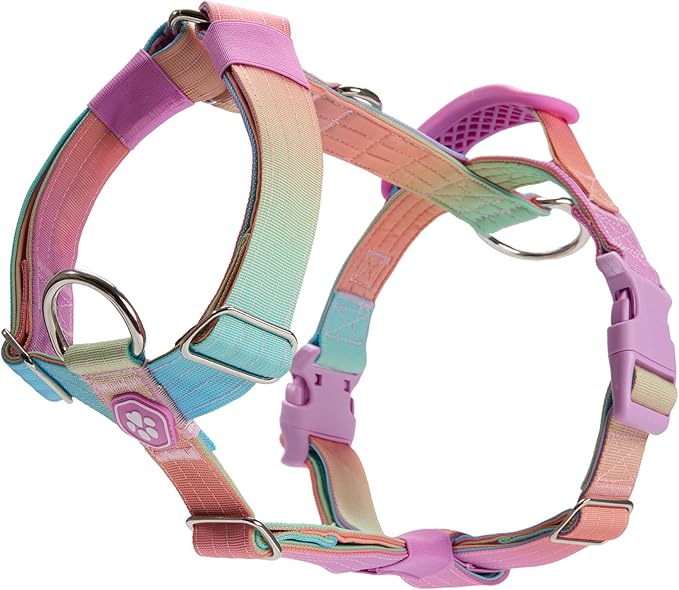 Spark Paws No Pull Dog Harness with Handle for Large Dogs, Heavy Duty Dog Harness for Big Strong Breeds, Adjustable, Y Shaped Padded Halter Design with Front Clip - Pastel Icing - S