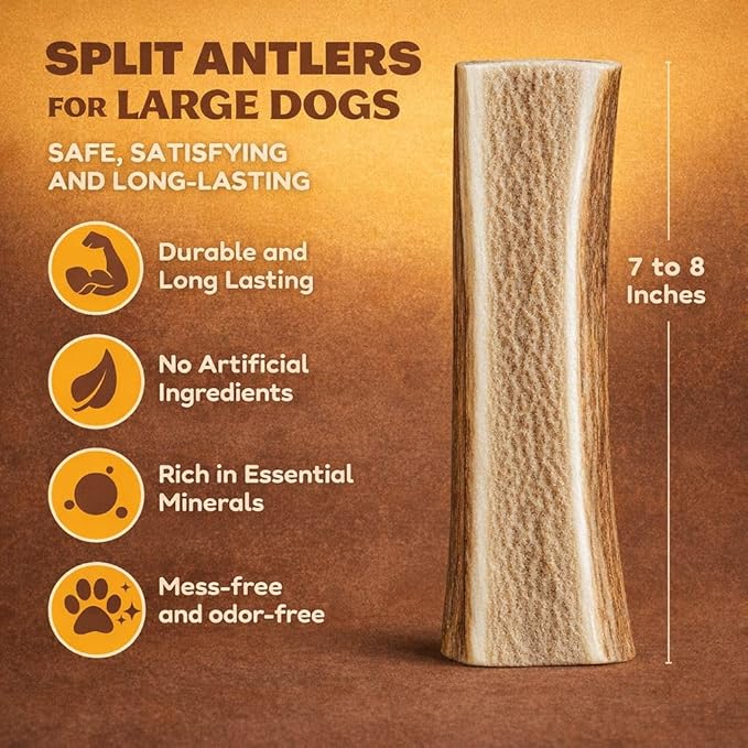 Whitetail Naturals Dog Chews - Split Elk Antlers for Large Dogs, Agressive Chewers - Antler Dog Bones - Long Lasting Naturally Shed Elk Horns (1 Pack Large)