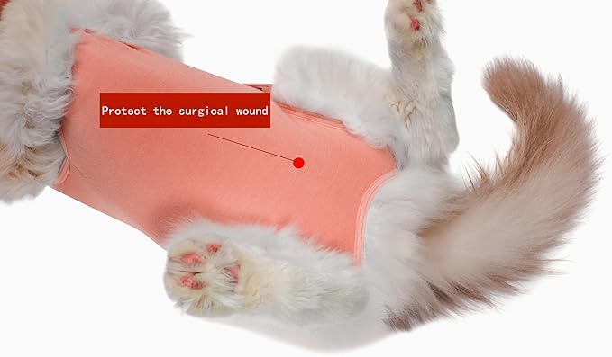 Cat Recovery Suit Female Kitten Onesie for Cats After Surgery Female Spay Surgical Abdominal Wound Skin Diseases Cone Collar Soft Alternative Wear (Orange, S)