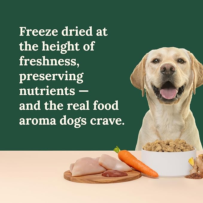 360 Pet Nutrition Freeze-Dried Raw Dog Food – Chicken Recipe with Liver & Organs, High Protein, Omega-3s, Fruits, Veggies & Superfoods, Grain-Free, No Filler 2 x 48 oz Made in USA