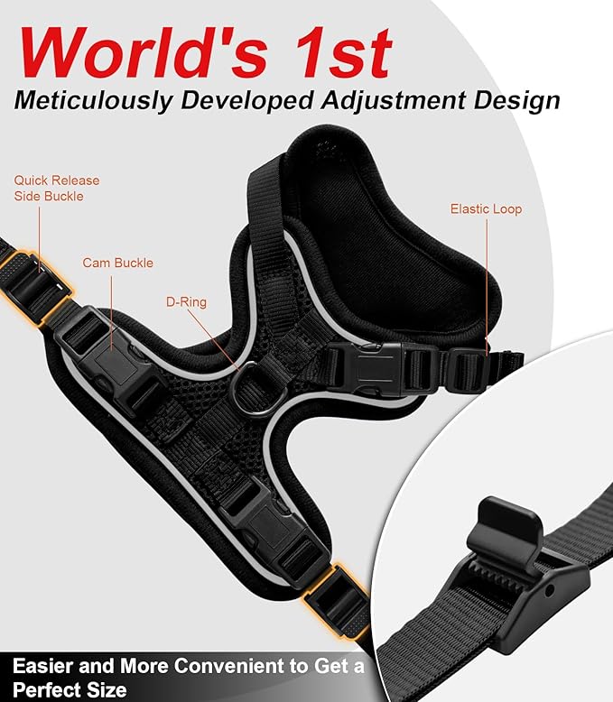 Cat Harness and Leash for Walking Escape Proof Soft Adjustable Cat Leash Breathable Comfortable Vest Easy to Wear Kitten Harness for Outdoor Travel (Black, XS (4-6lb))