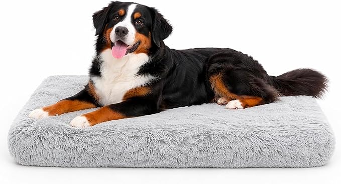 Dog Bed pet beds (X-Large)- Premium Quality, Washable & Portable, Eco-Friendly, Multiple Sizes, Stylish Design, Removable Cover, Size X-Large(39.37 X 23.62 X 3.93) inch