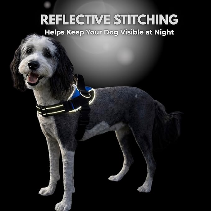 ShawnCo Essential Dog Harness, No-Pull Pet Vest with 3 Leash Clips, No Choke, Reflective, Adjustable and Padded, for Easy Walking and Training for Small, Medium and Large Dogs (Electric Blue,XL)